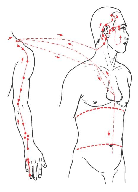 Pericardium (circulation) acupuncture meridian