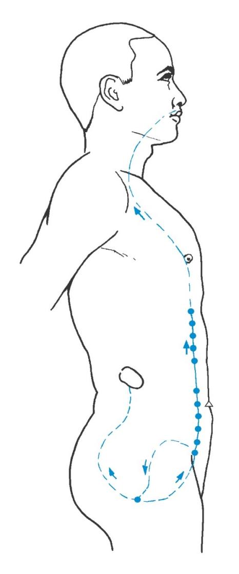 Verlauf des Chong Mai