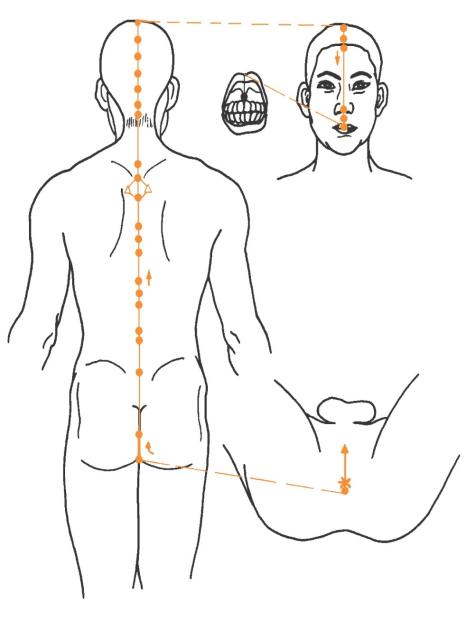 Verlauf des Gouverneurs