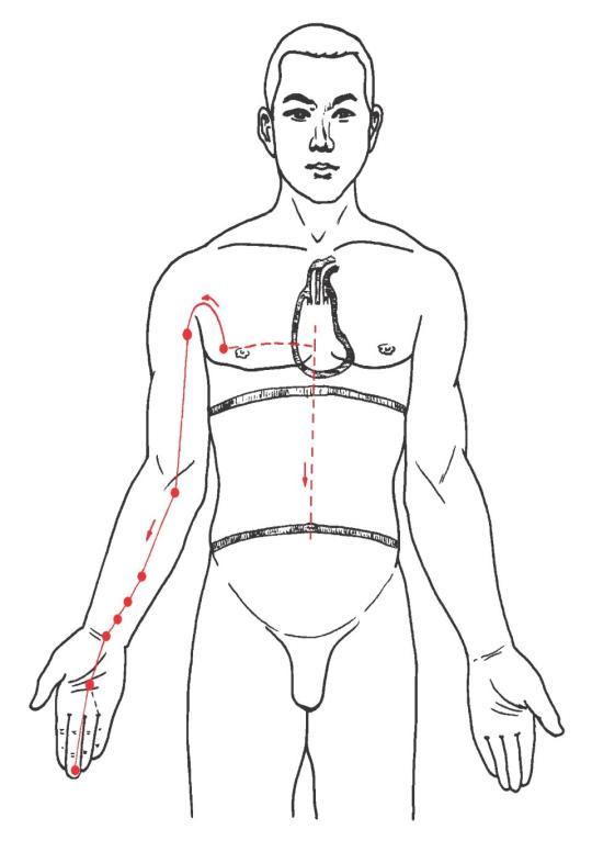Verlauf des Kreislauf-Meridians