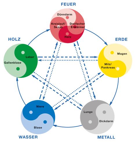 testkit meridiankomplexes